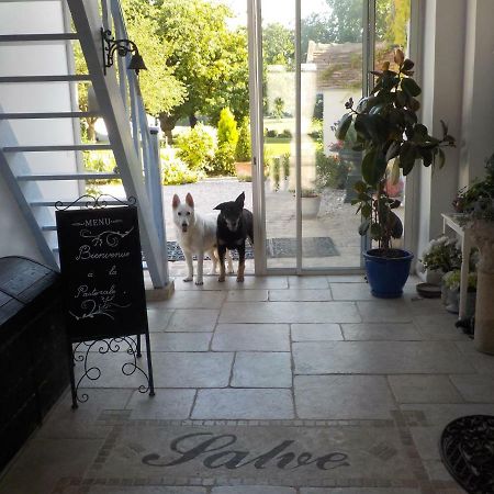 Bed and Breakfast La Pastorale Vinneuf Exterior foto