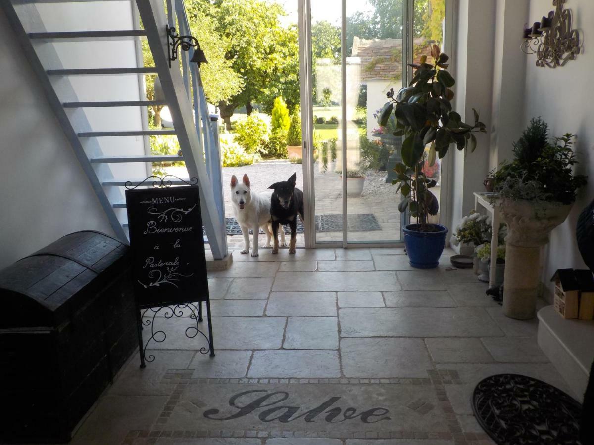 Bed and Breakfast La Pastorale Vinneuf Exterior foto
